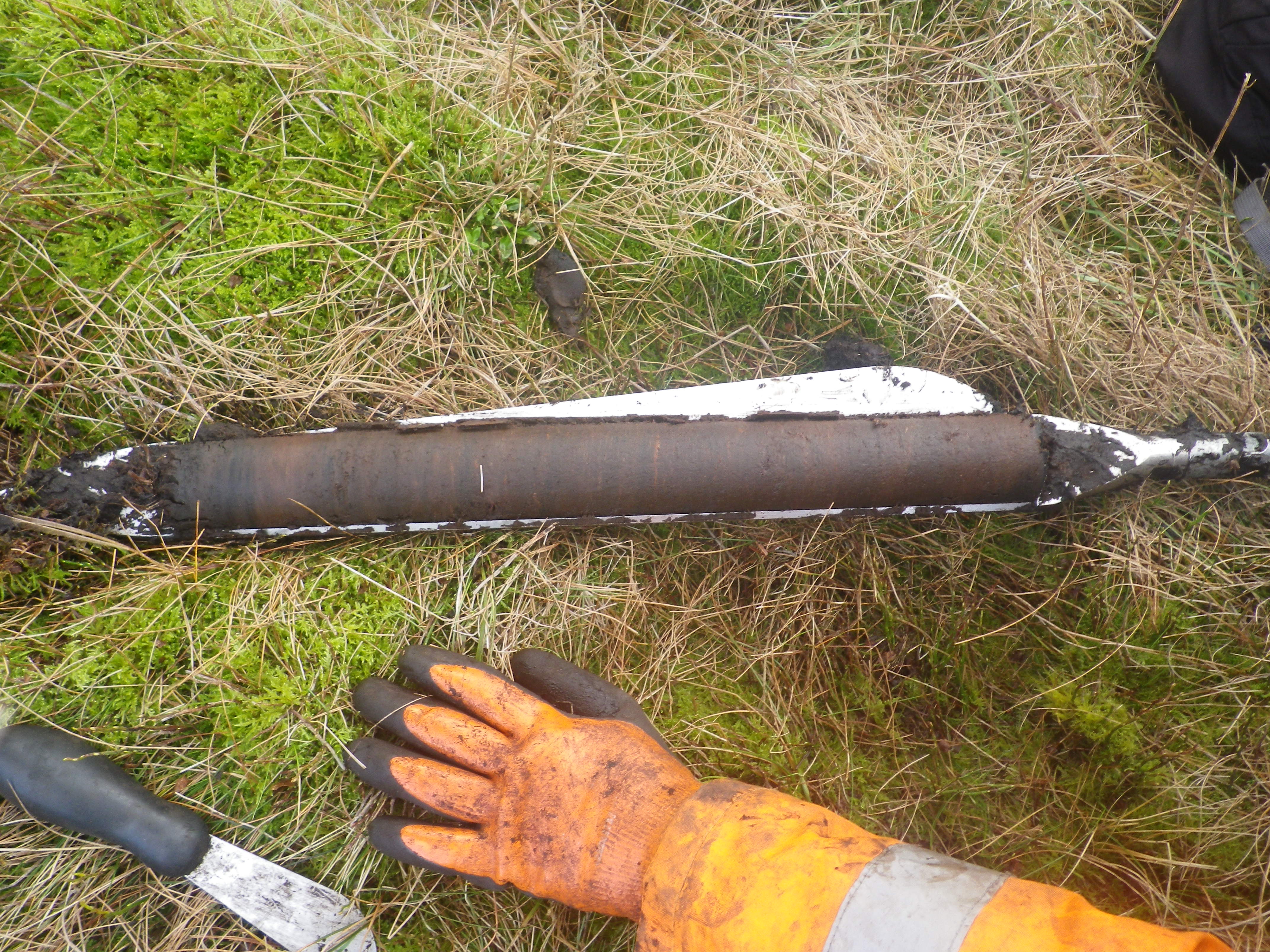 Part of a peat core