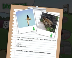 A page from the Fire Ranger game 