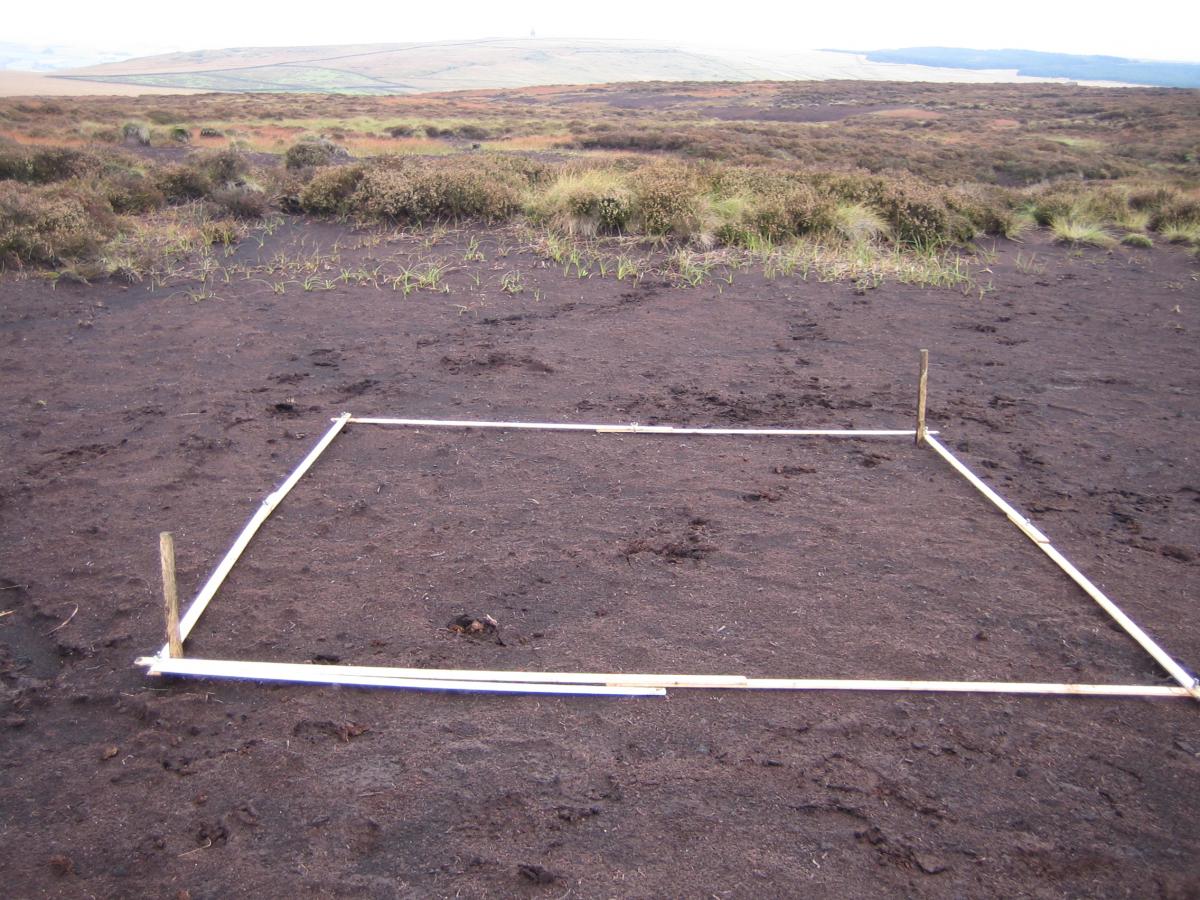 Image of bare peat at Turley Holes between 2010 and 2011