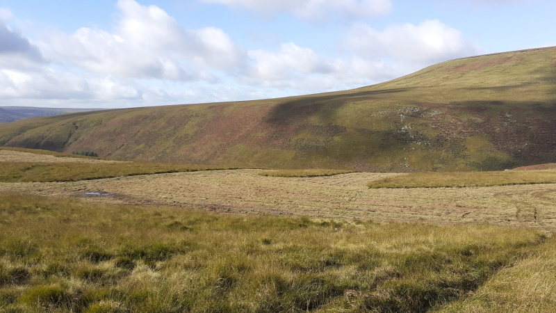 Cutting - Purple moor grass is cut to reduce biomass and dominance of the species.
