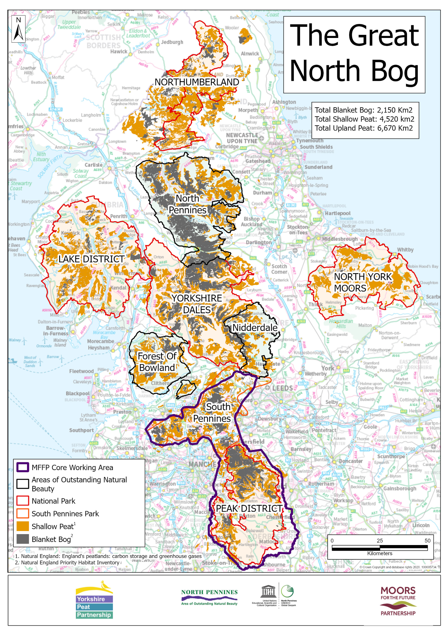 Great North Bog