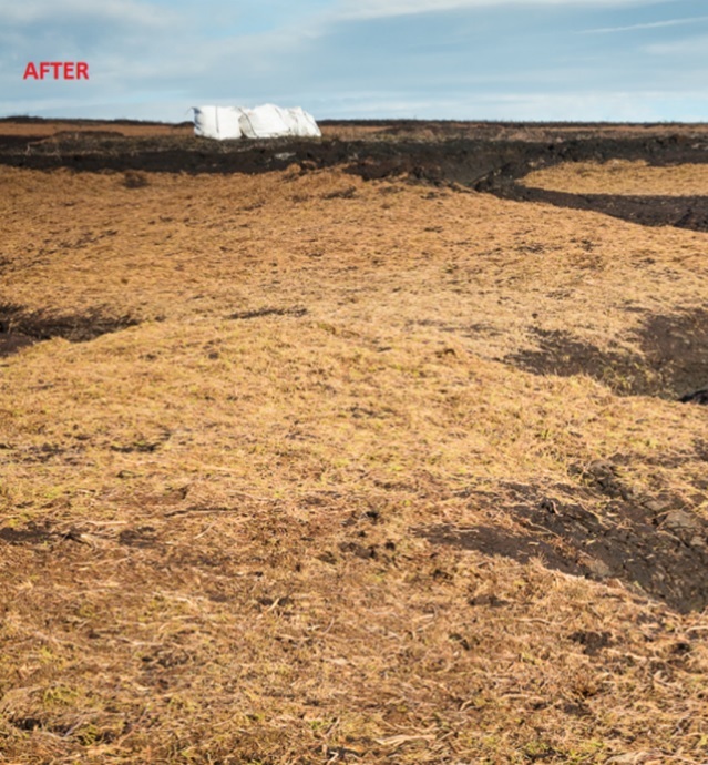 Heather Brash (dead chopped heather stalks) is applied to bare peat in order to stabilise the peat