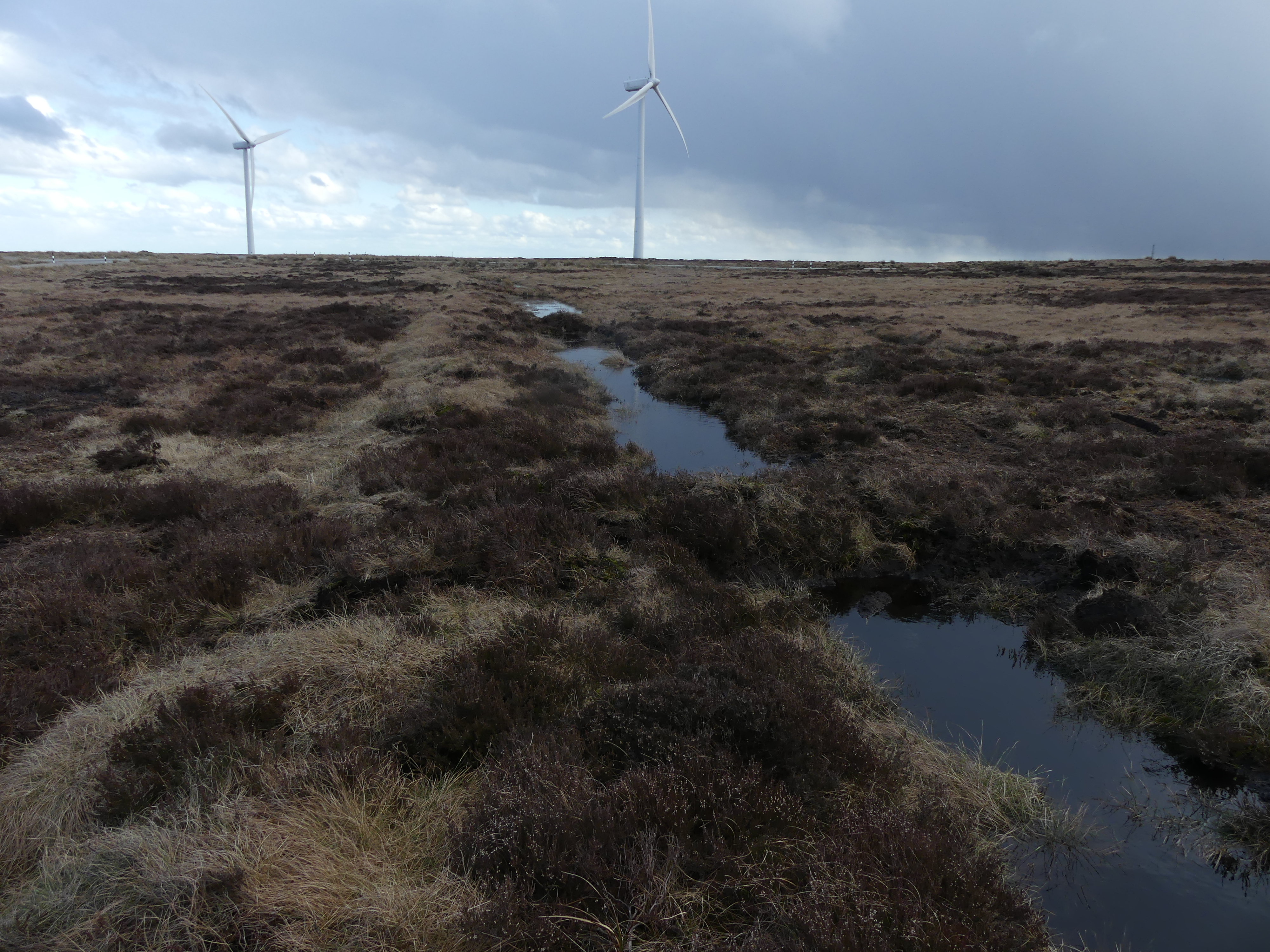 Peat dams on windfarm