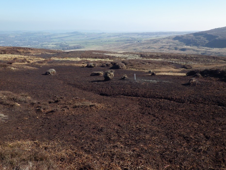Degraded Peatlands of the South Pennines SAC