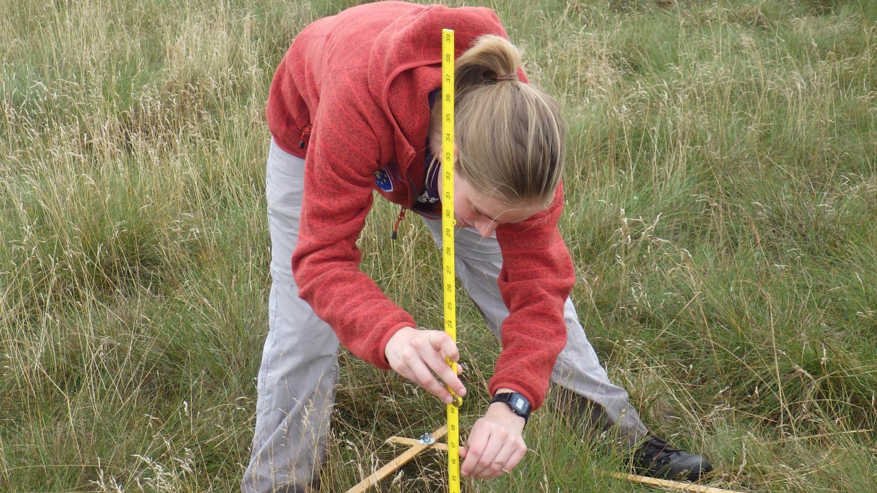 Mollie Hunt, monitoring vegetation at Holme Moss