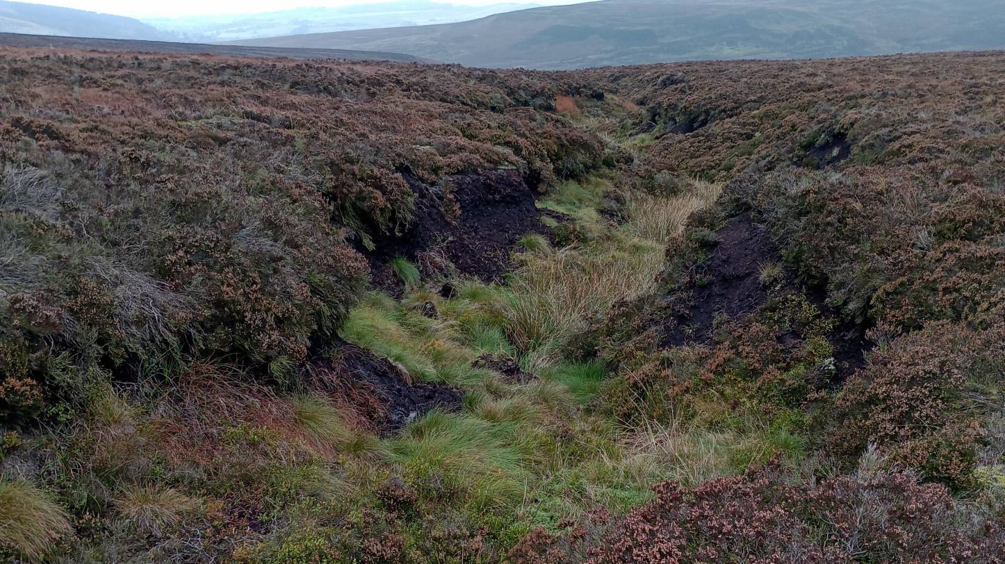 xRestoring Holcombe Moor