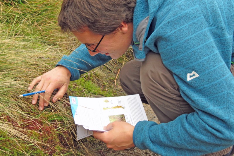 Sphagnum moss surveyor